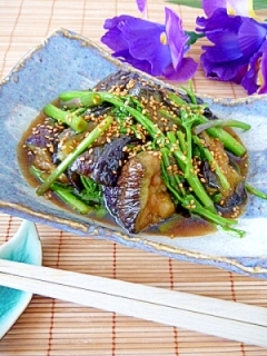 香る大人の味♪茄子とせりの☆焼き浸し