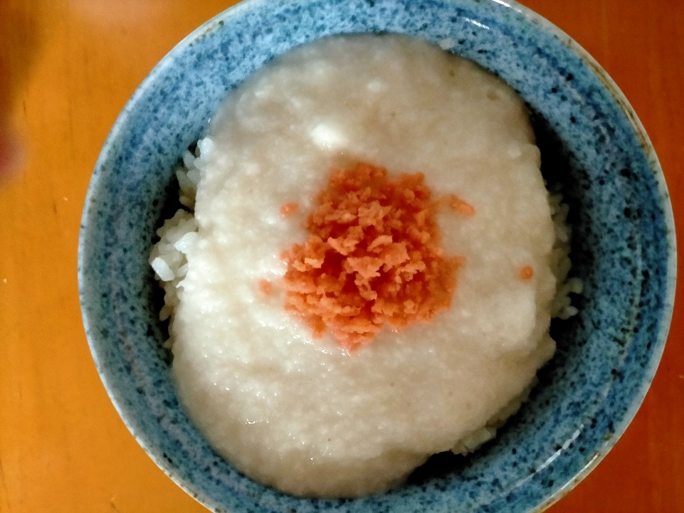 たっぷりとろろと鮭ごはん