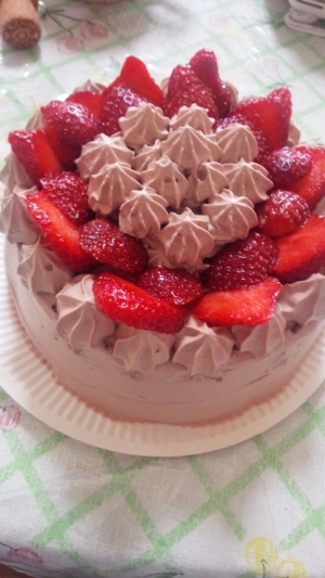 尽きる 降雨 未知の 誕生 日 ケーキ 手作り レシピ Hama Chou Jp