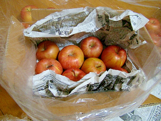 大量購入の林檎✿上手に保存でおいしさ長持ち