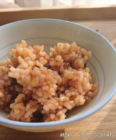 寝かせ玄米(2合分)