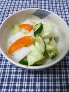 ザク切り野菜のカンタンすし酢ピクルス