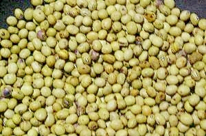 豆乳豆腐の作り方(電子レンジで簡単 ...