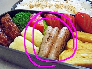 証人 話をする 忠実な 豚 バラ お 弁当 の おかず Adrienlombardo Com