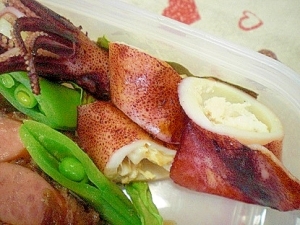 ボイル ヤリイカ 食べ 方 魚の画像は無料 ボイル ヤリイカ 食べ 方 魚の画像は無料