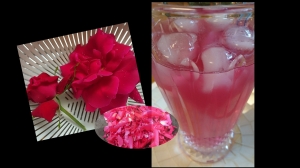 無農薬で育った食用薔薇 で作る薔薇の炭酸ジュース レシピ 作り方 By 所沢とっくん 楽天レシピ