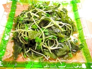 ミネラルたっぷりでダイエット 貝割れとわかめの煮物 レシピ 作り方 By 帰って来たvan 楽天レシピ