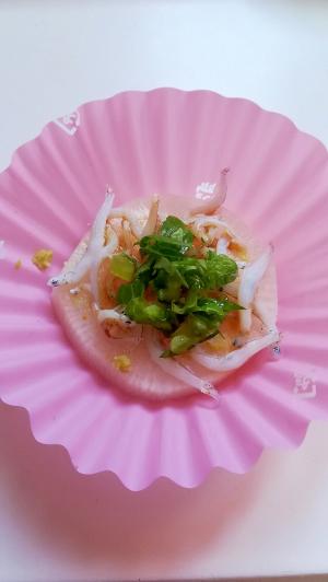 大根のカナッペ 釜揚げしらすと大根の葉 わさび醤油 レシピ 作り方 By みずたまsweet 楽天レシピ