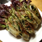 のらぼうとはごろも煮の春巻き