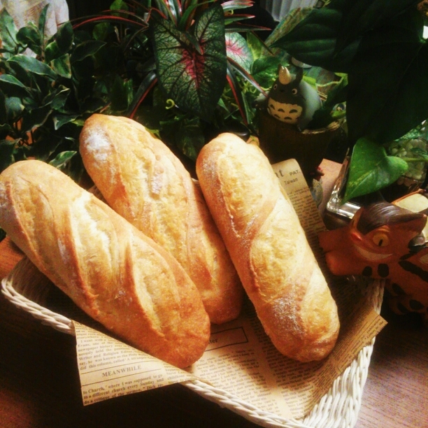 籐のかごに並べたフランスパン