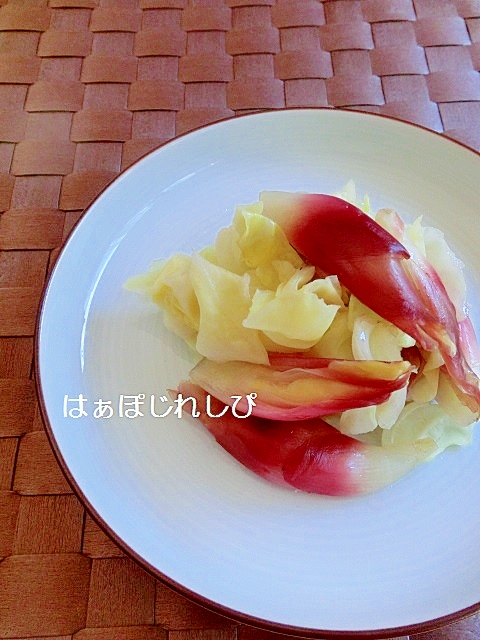 みょうがとキャベツの甘酢漬け✿