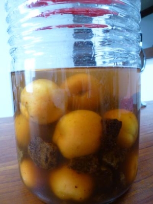 おいしさを長期保存 杏の人気レシピ15選 Macaroni