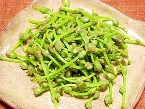 最高のみずの 実 レシピ すべての美しい花の画像 最高のみずの 実 レシピ すべての美しい花の画像