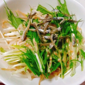 モヤシと水菜のじゃこサラダ レシピ 作り方 By シフト6522 楽天レシピ