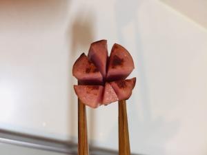 すべての美しい花の画像 無料印刷可能ウィンナー 花 すべての美しい花の画像 無料印刷可能ウィンナー 花
