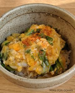 天かすでコクうま！ジャンクねぎ玉丼