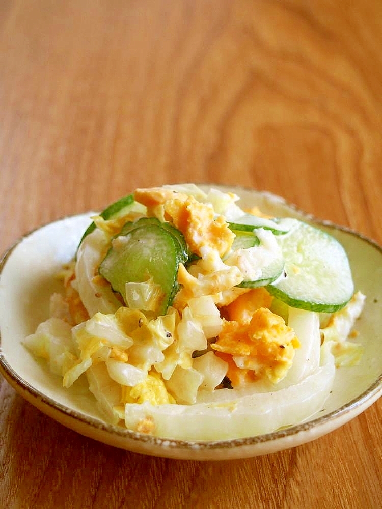 白い皿に盛られた白菜と目玉焼きのサラダ