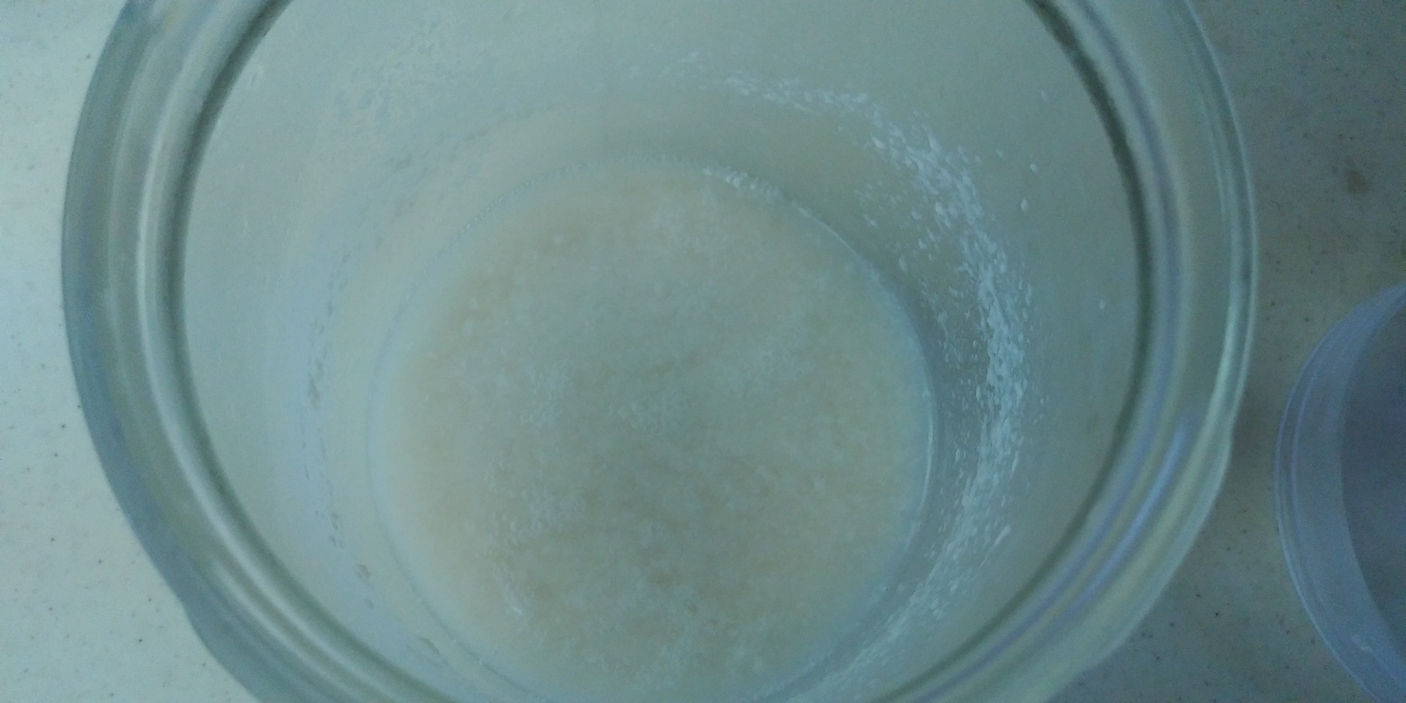 酒粕酵液の起こし方(パン用)