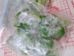 水菜 冷凍方法 コツ ポイント　（葉野菜の冷蔵