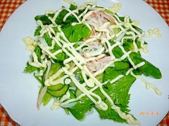 香味野菜のグリーンサラダ