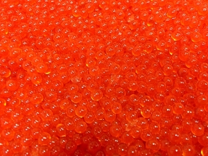 100 Epic Best 朱色 の 作り方 画像ブログ 100 Epic Best 朱色 の 作り方 画像ブログ