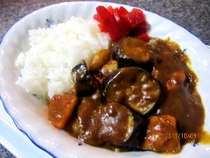 茄子カレー　（我が家の味）