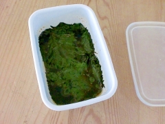 簡単!激ウマ!大葉のごま油しょうゆ漬け