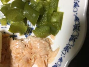 離乳食カミカミ期 さけのピーマンサラダ レシピ 作り方 By Mamimumai 楽天レシピ 離乳食カミカミ期 さけのピーマンサラダ レシピ 作り方 By Mamimumai 楽天レシピ