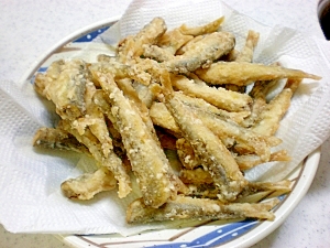 稚鮎の唐揚げ