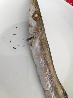 塩カマスの魚グリル焼き レシピ 作り方 By のこ311 楽天レシピ 塩カマスの魚グリル焼き レシピ 作り方 By のこ311 楽天レシピ