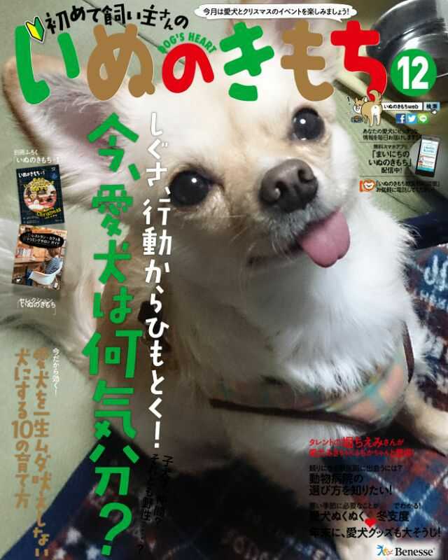 ＨＴＩおじさん