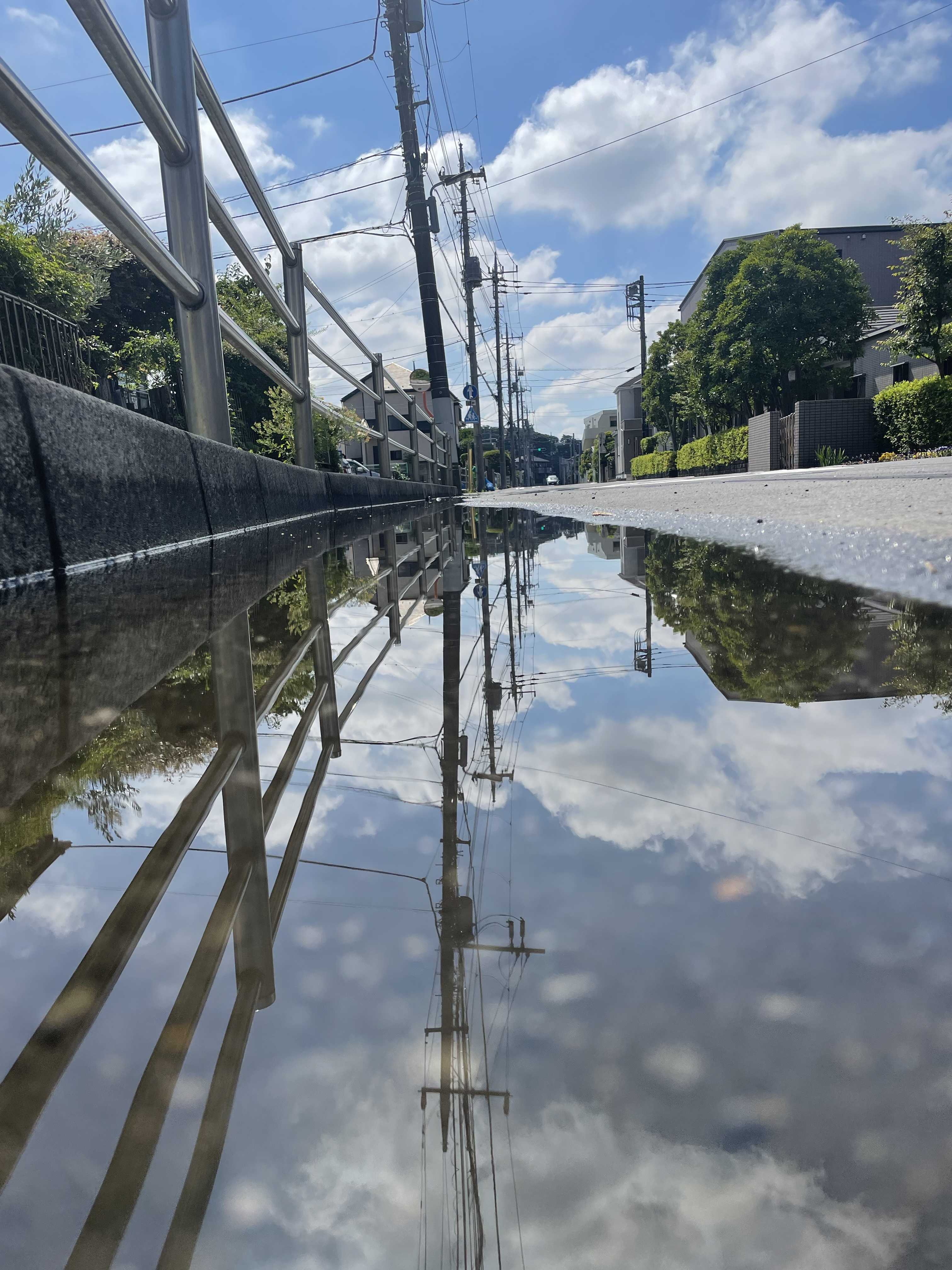 まぁパパ 育てる遊び心