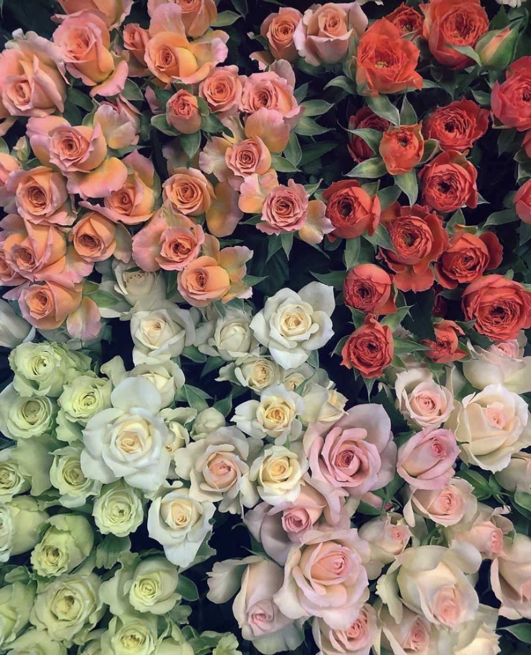 color-life-happy