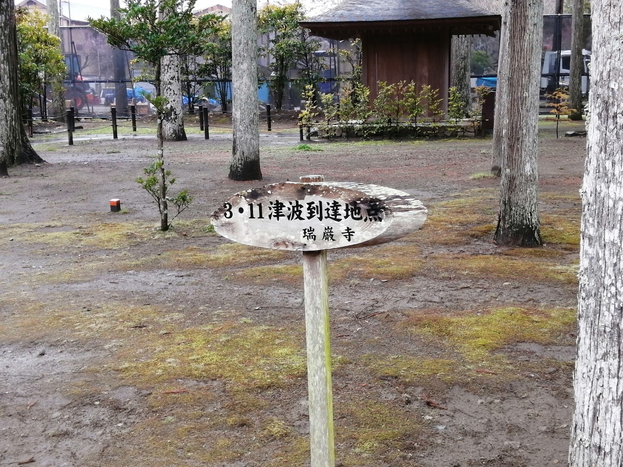 ウッディ・ビン