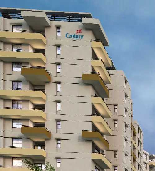 centuryredoak