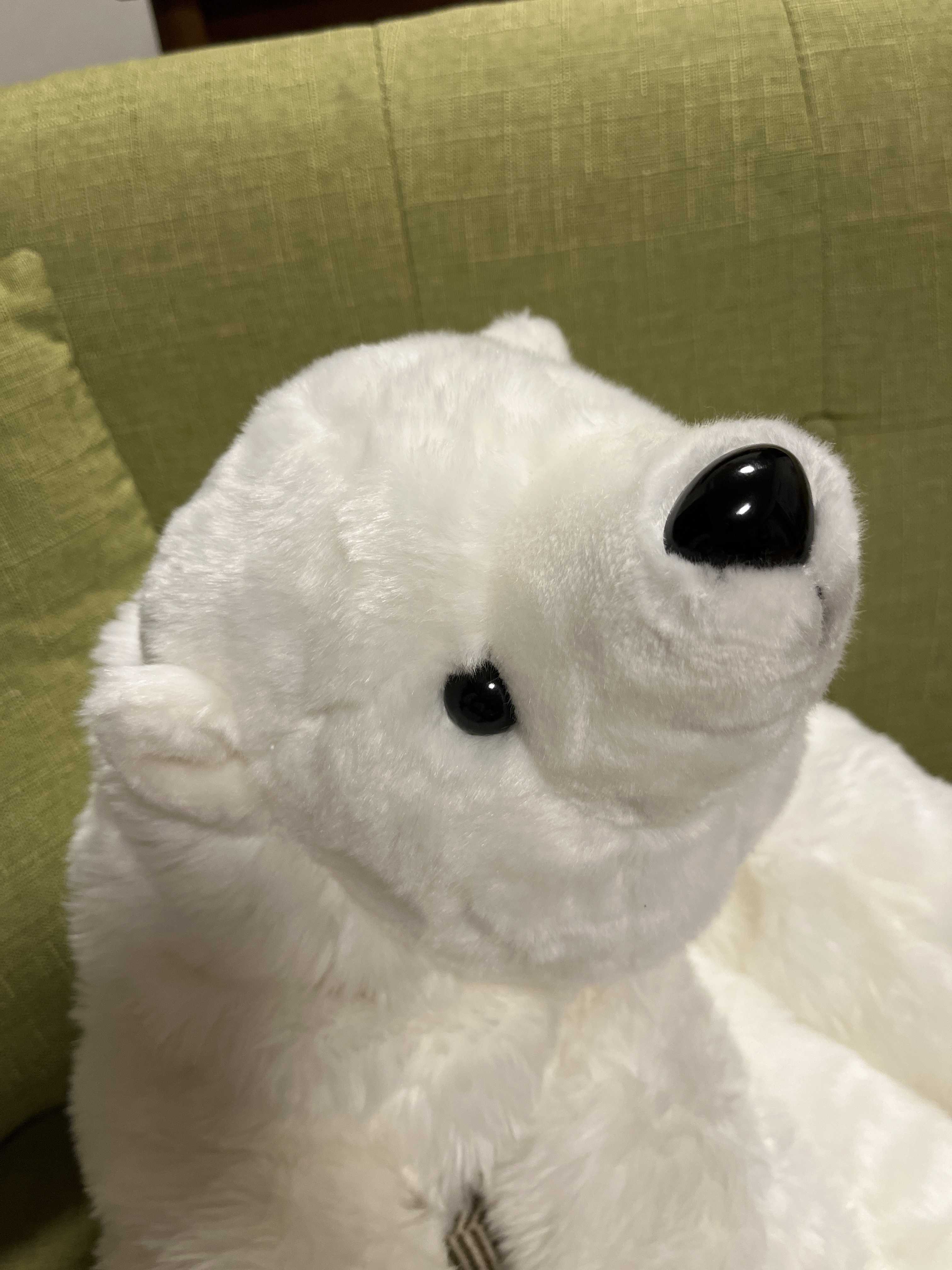 もちこ○