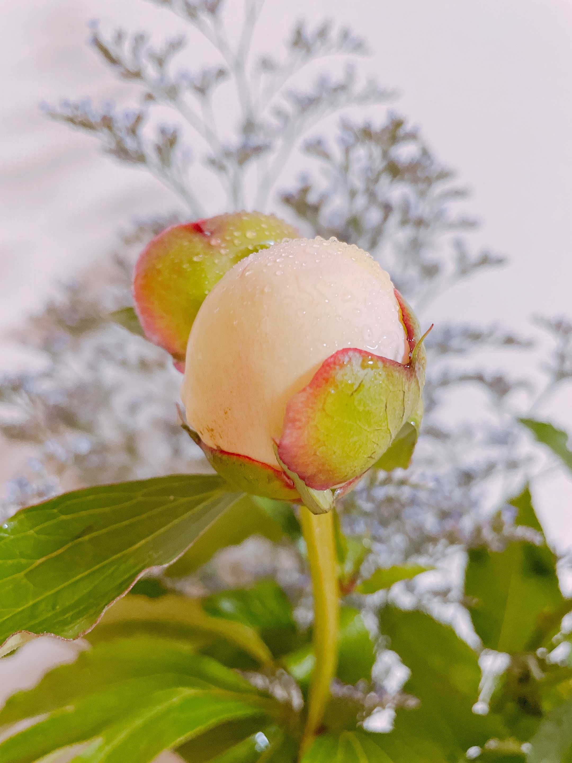 物理的に左肩上がり