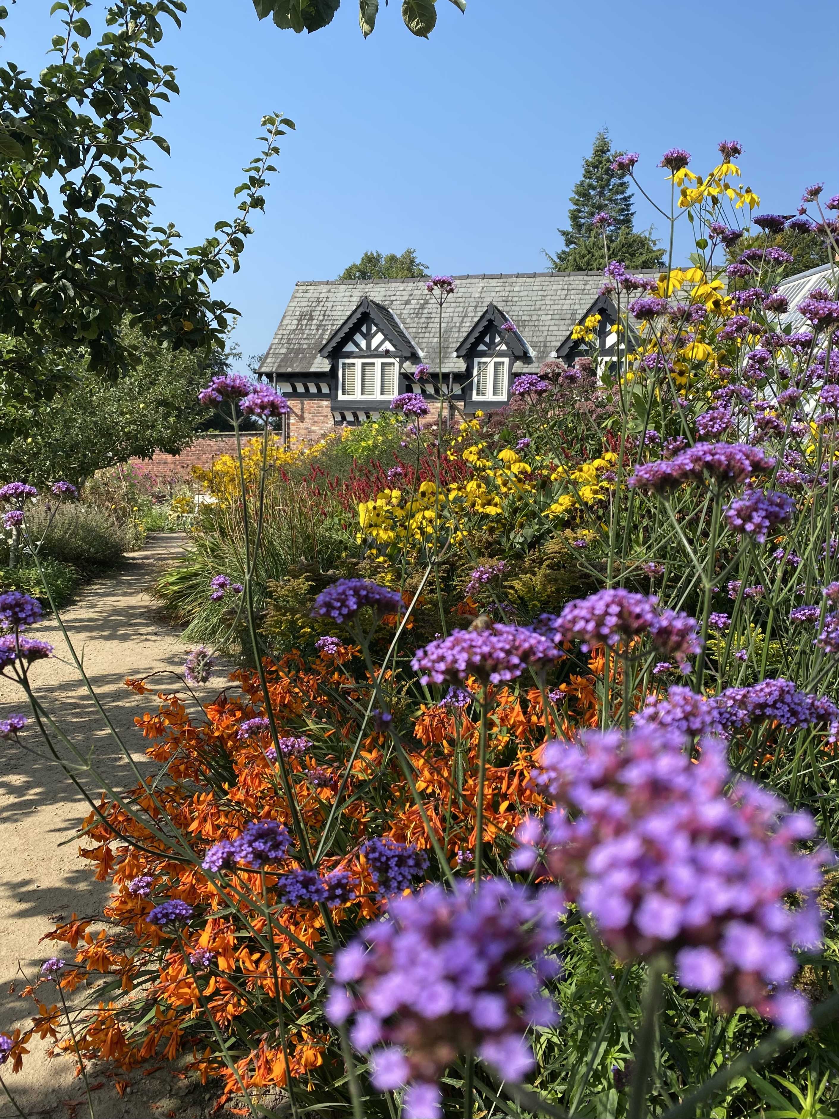 オタク母ちゃん