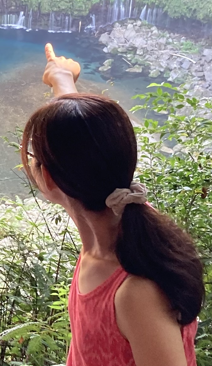 @バンビナース@