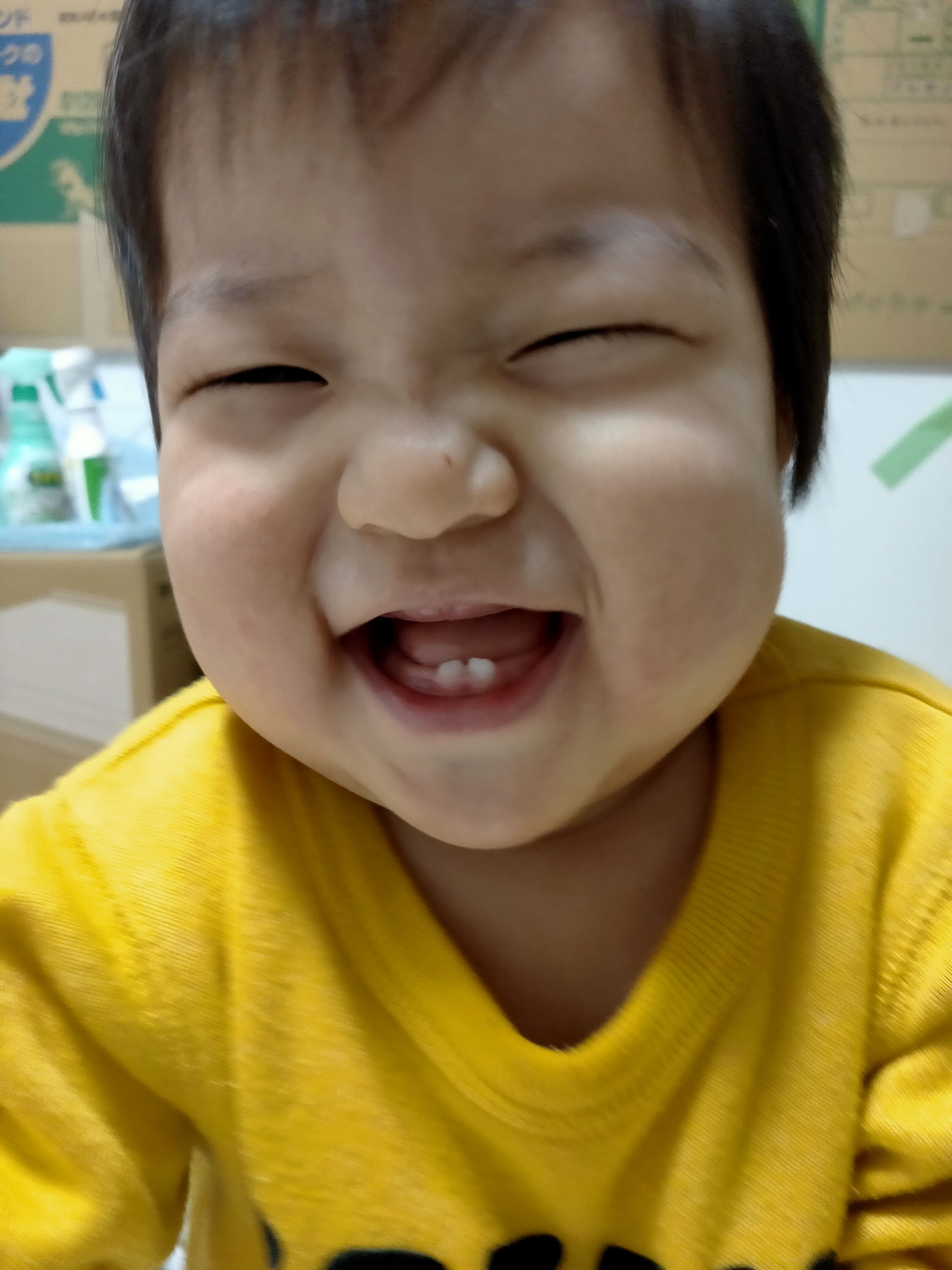えみとまとと過ごすしあわせな日々 - 楽天ブログ