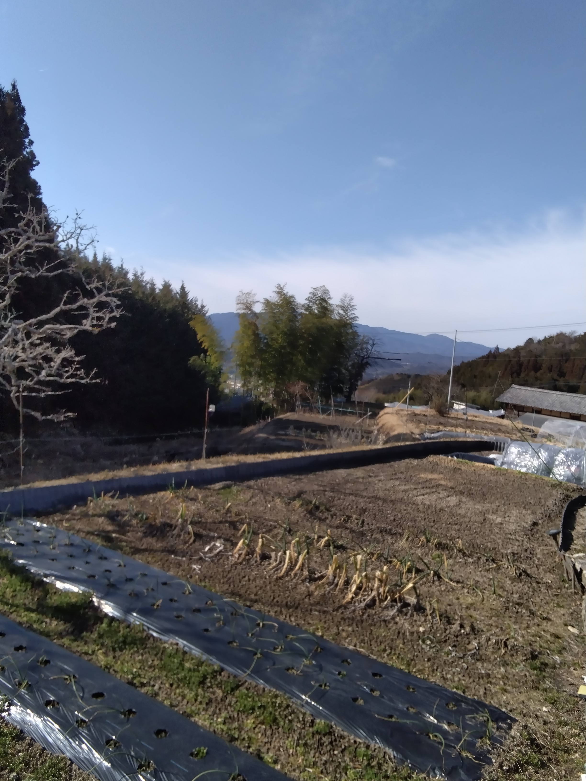あうんさ