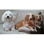 ｎｏｂｕｍａｒｕ