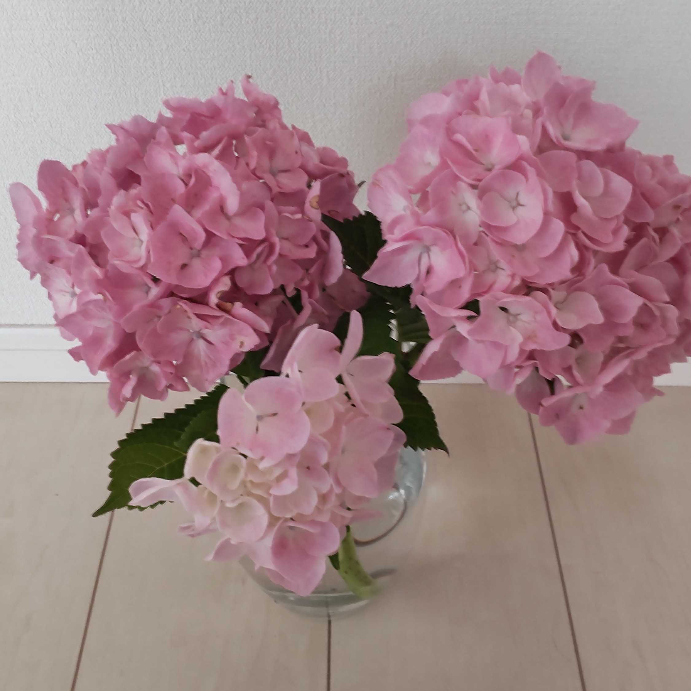 くららくららら