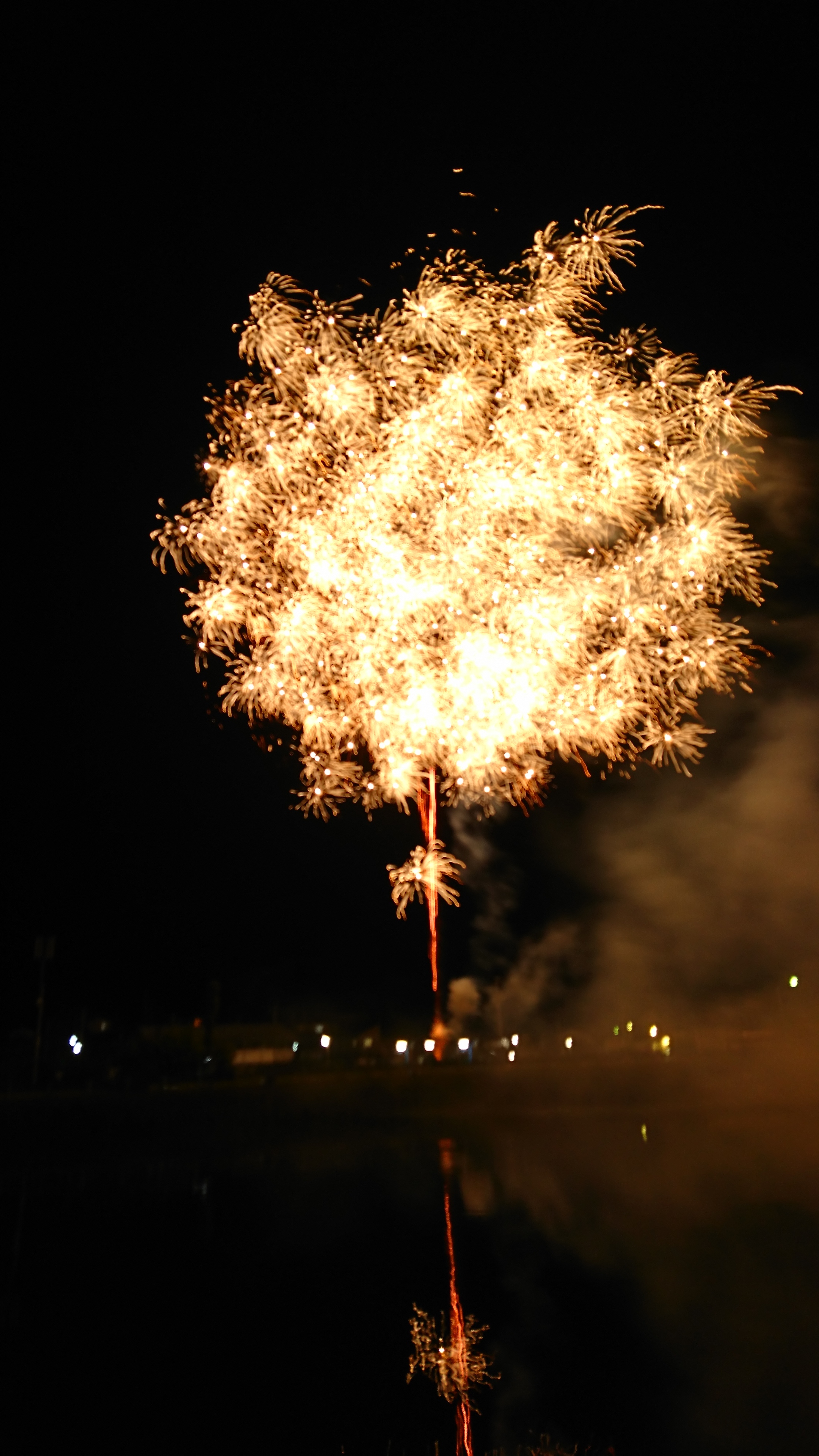 りゅうき☆☆☆