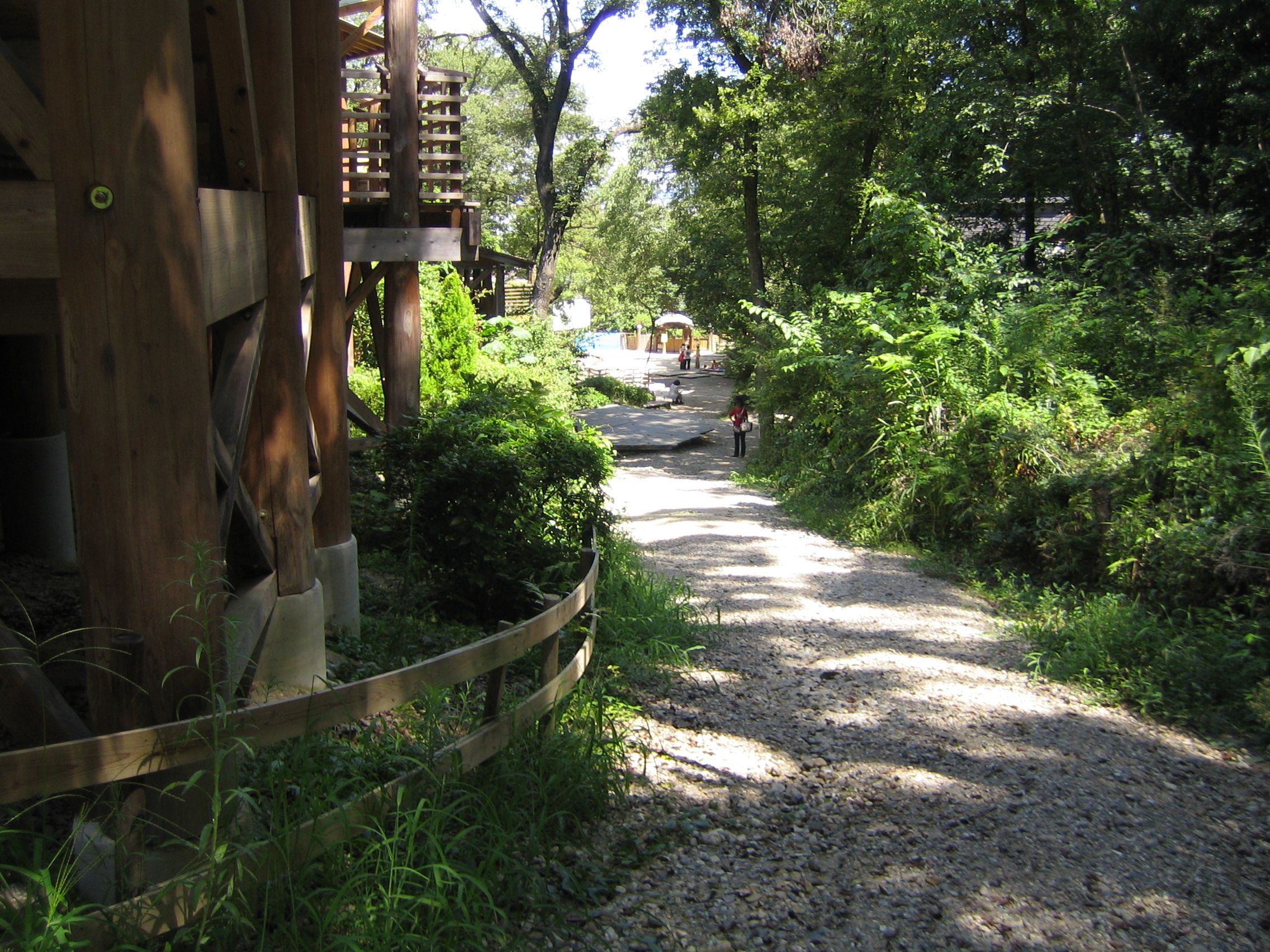 福山ちあり