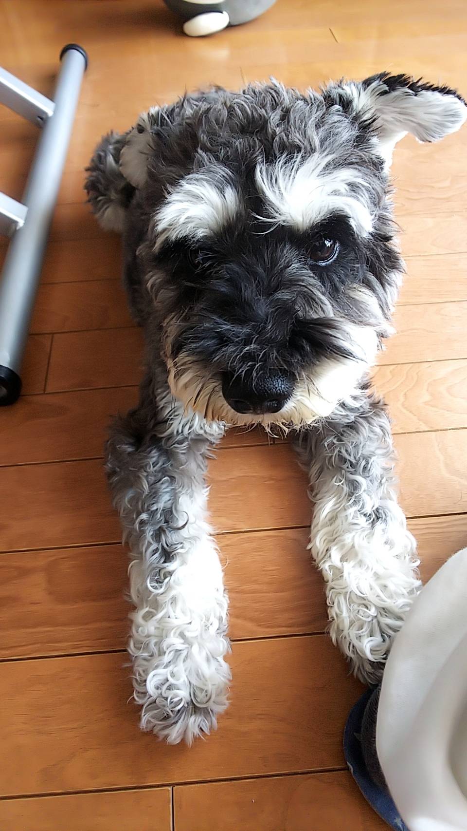 てぃーてぃく