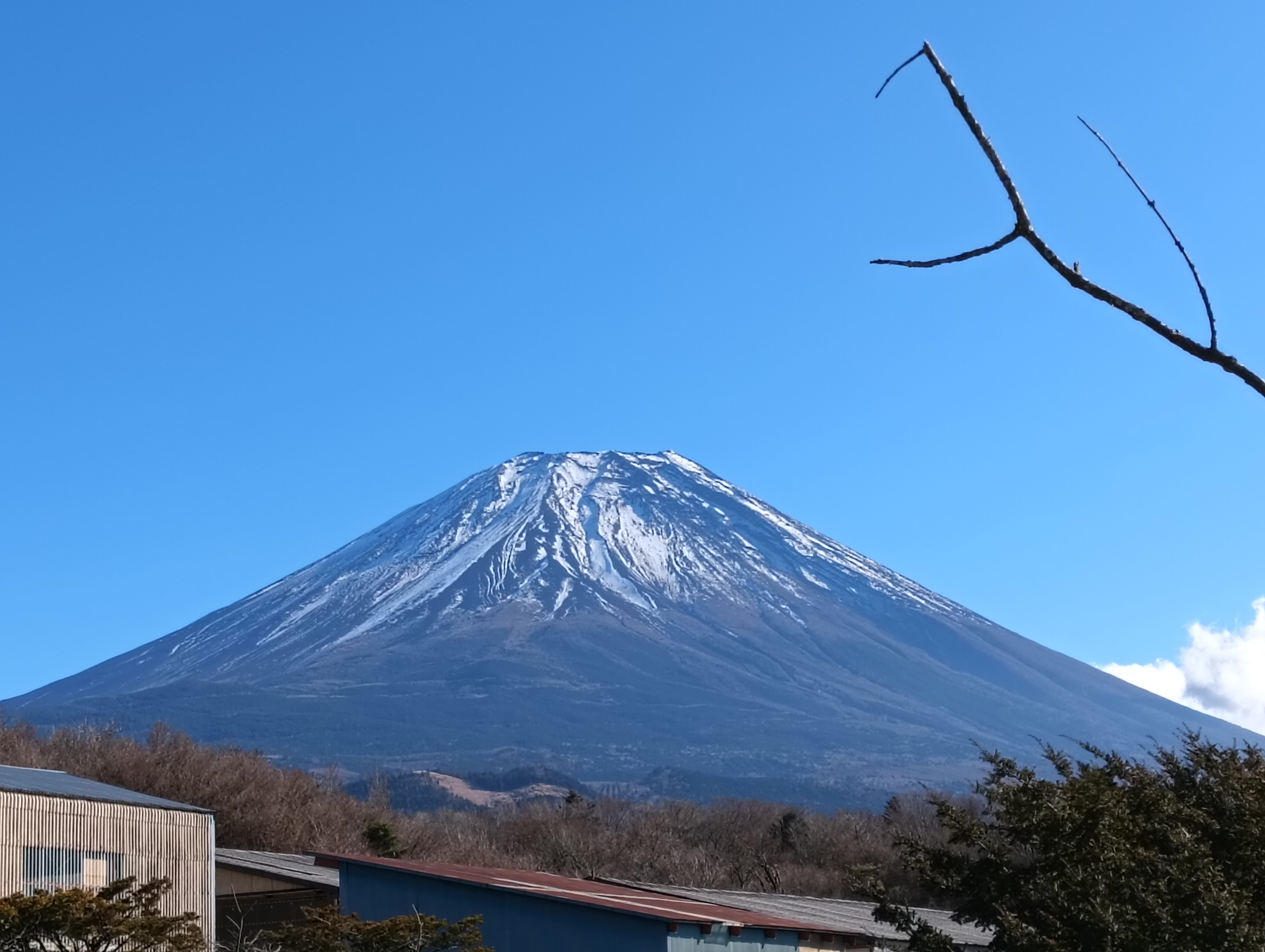 ととろうめきちあやか