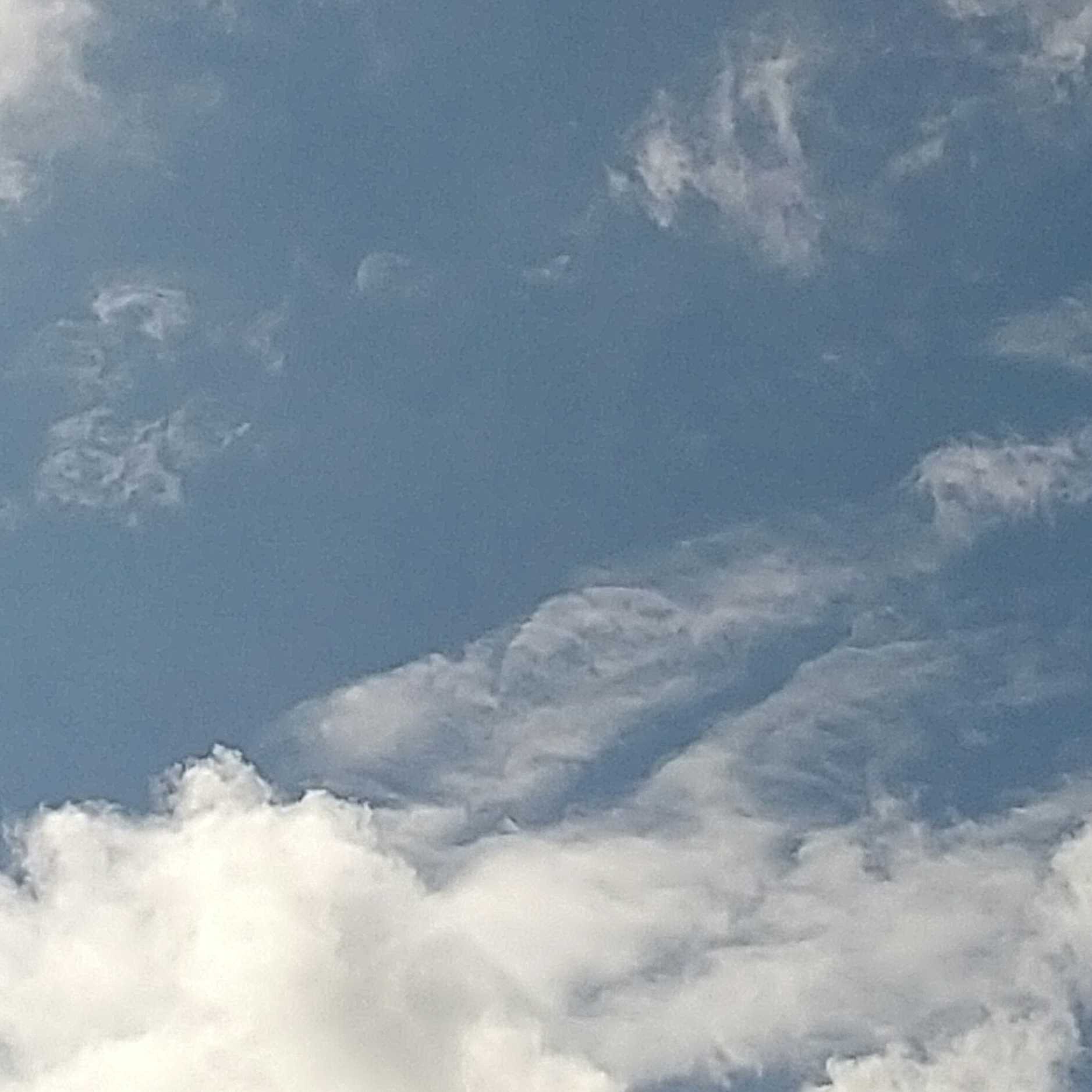 おつまみおつまみ