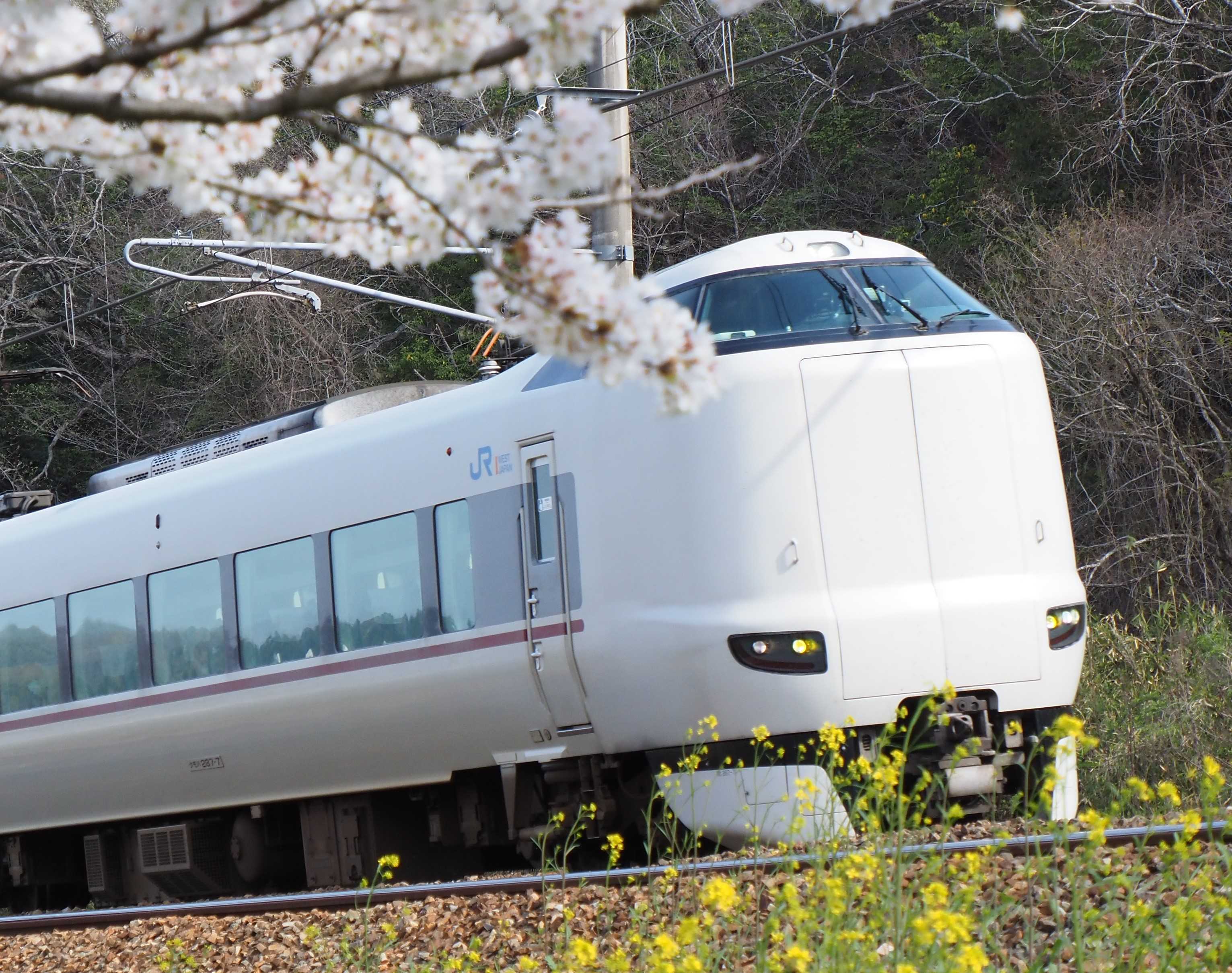 鍵山ゆう