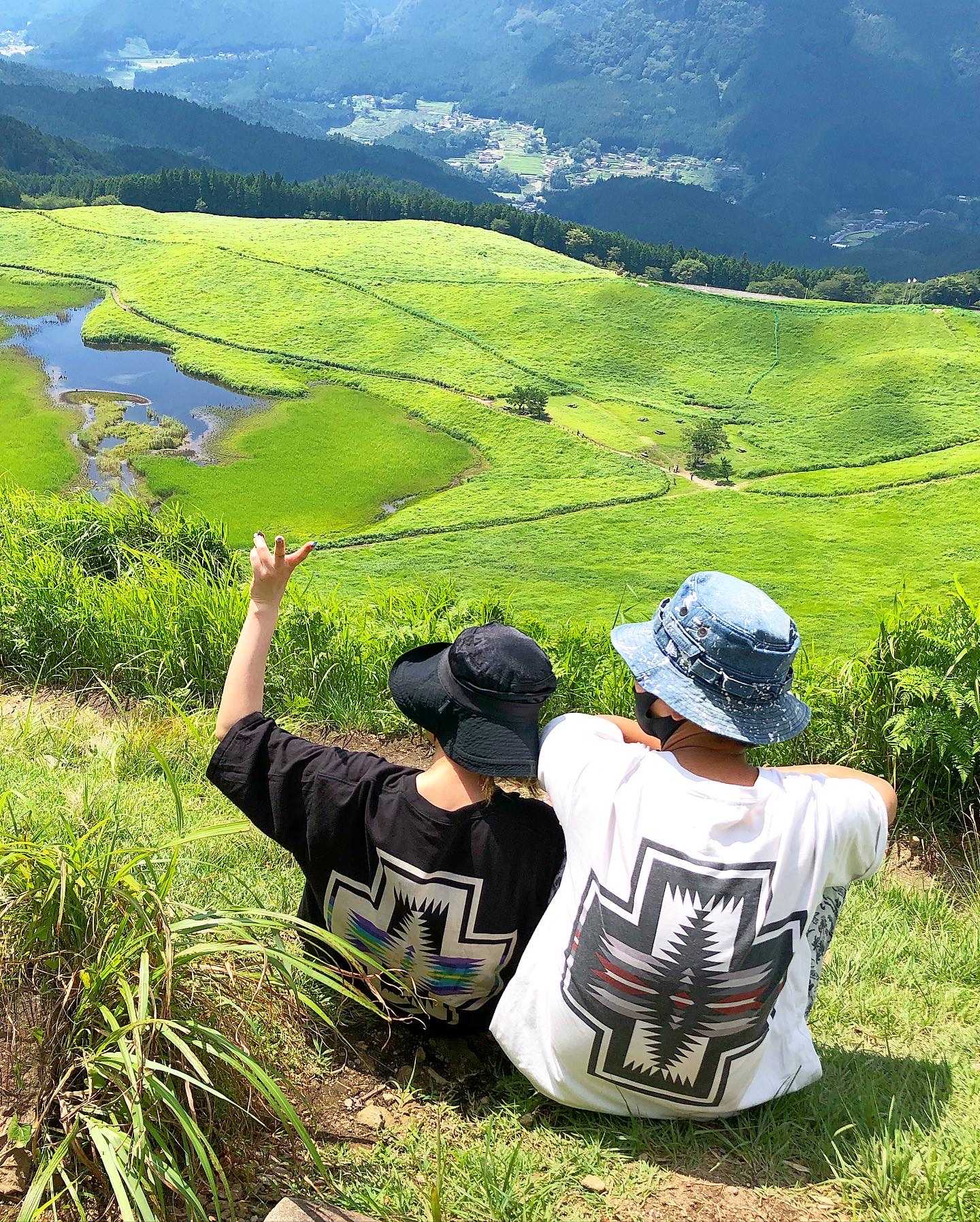 急性リンパ性白血病になった主婦